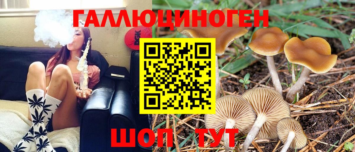 Галлюциногенные грибы Psilocybe  где купить наркоту  Балтийск  Вход с VPN 